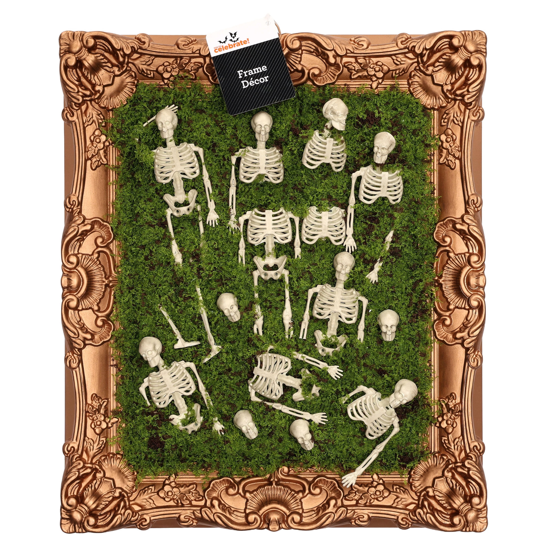 Skeleton Moss Framed Wall Art, Multicolor, 12" x 14.5", Halloween by Way To Celebrate