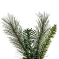 thumbnail image 2 of 9 x 14" Brighton Pine 250T, 2 of 2