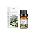 thumbnail image 1 of 10ml Essential Oils for Aroma Diffuser Humidifier Home Water-soluble a a-, 1 of 8
