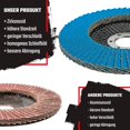 thumbnail image 2 of Compartimentos para discos │ azul │ 10 piezas │ Ø 125 mm │ grano 80 │ Acero inoxidable │ Discos abrasivos │ Discos de láminas, 2 of 5