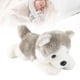 thumbnail image 3 of Juguete De Peluche De Peluche Husky, Compañero Perfecto Para Niños Realistas, Juguetes De Peluche Súper Suaves Para Niños De 9,1 Pulgadas Para El Hogar, 3 of 7