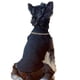 thumbnail image 1 of 2 piezas de ropa fina para perros Ropa de verano para mascotas Chaleco transpirable cómodo para perros MFZFUKR CPB-US-FXT517-3, 1 of 5