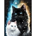Black And White Cat 500Piece Adult Jigsaw Puzzle Perfect For Fun