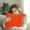 thumbnail image 4 of Clearance Under $5 Boovnll Throw Pillow Covers, Modern Stylish Soft & Cozy, Solid Color Velvet Pillow Covers 16x16" for Home, Living Room, Bedroom, Sofa, Couch, Home Decor, Pillow Covers, 4 of 6