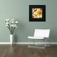 thumbnail image 3 of Trademark Fine Art "Rainbow Garden Spice II" Canvas Art by Lisa Audit, Black Matte, Black Frame, 3 of 4