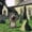 B109, variant on Halloween Decorations Cemetery Tombstone Garden Sign for Outdoor Yard, Plastic Goose Lawn Memorial Grave Marker with Floor Socket, for Halloween Party and Cemetery Decoration