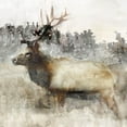thumbnail image 2 of Stellar Design Studio 15x15 Black Ornate Wood Framed with Double Matting Museum Art Print Titled - Mountain Elk II, 2 of 4