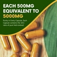 thumbnail image 5 of Apollo Ayurveda Organic Ashwagandha Capsules - Adaptogen Supplement, 100 Capsules, 5 of 6