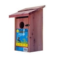 thumbnail image 5 of Pennington Red Cedar Bluebird Wild Bird House, 2 Pack 13'' Tall, 5 of 16