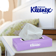 thumbnail image 5 of Pañuelos desechables Kleenex 90 hojas dobles, 5 of 5