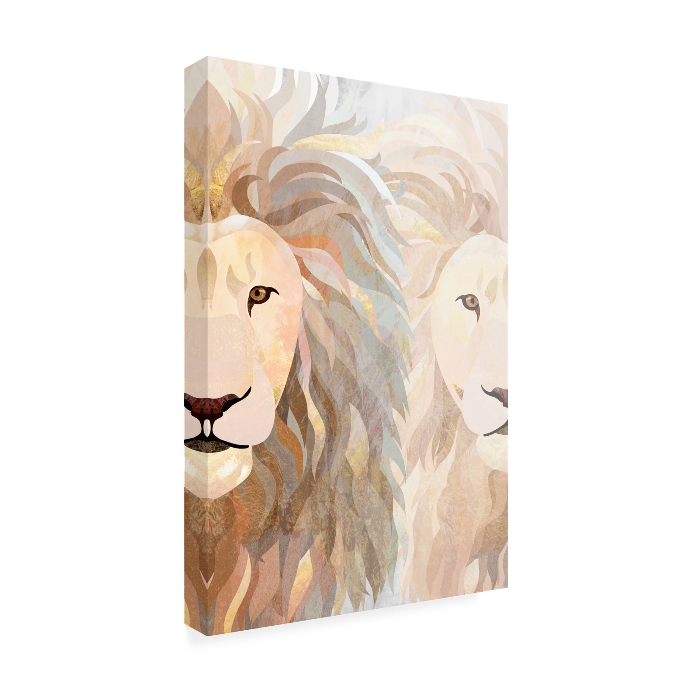Trademark Fine Art Sarah Manovski  Lion half face 2 Canvas Wall Art