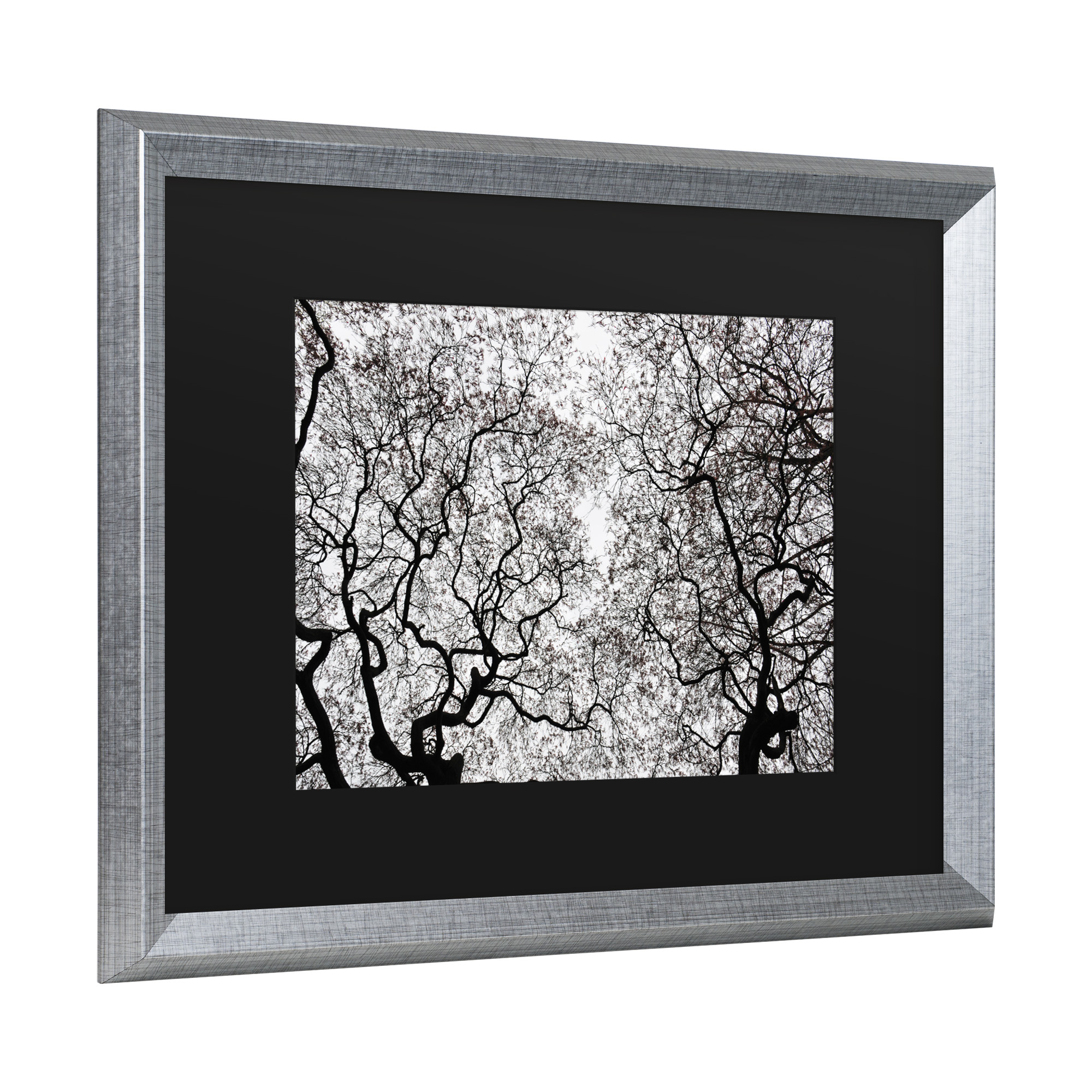 Trademark Fine Art 'Japanese Maple Spring Abstract' Canvas Art by Kurt Shaffer