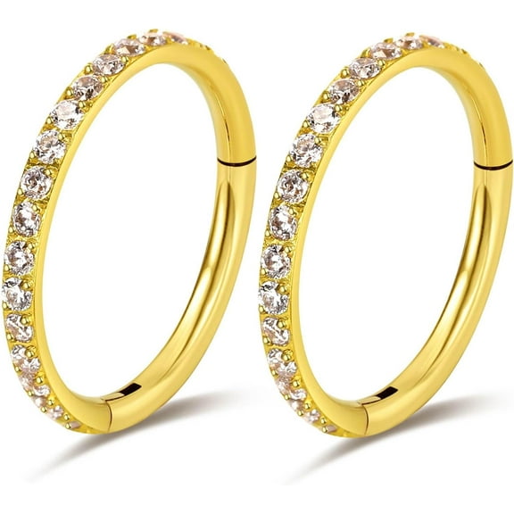 2PCS Titanium Nose Rings 16G CZ Hoop Nose Ear Clicker for Women 8mm 10mm Hinged Segment Septum Lip Rings Tragus Conch Helix Cartilage Rook Daith Piercing Jewelry Silver- Gold