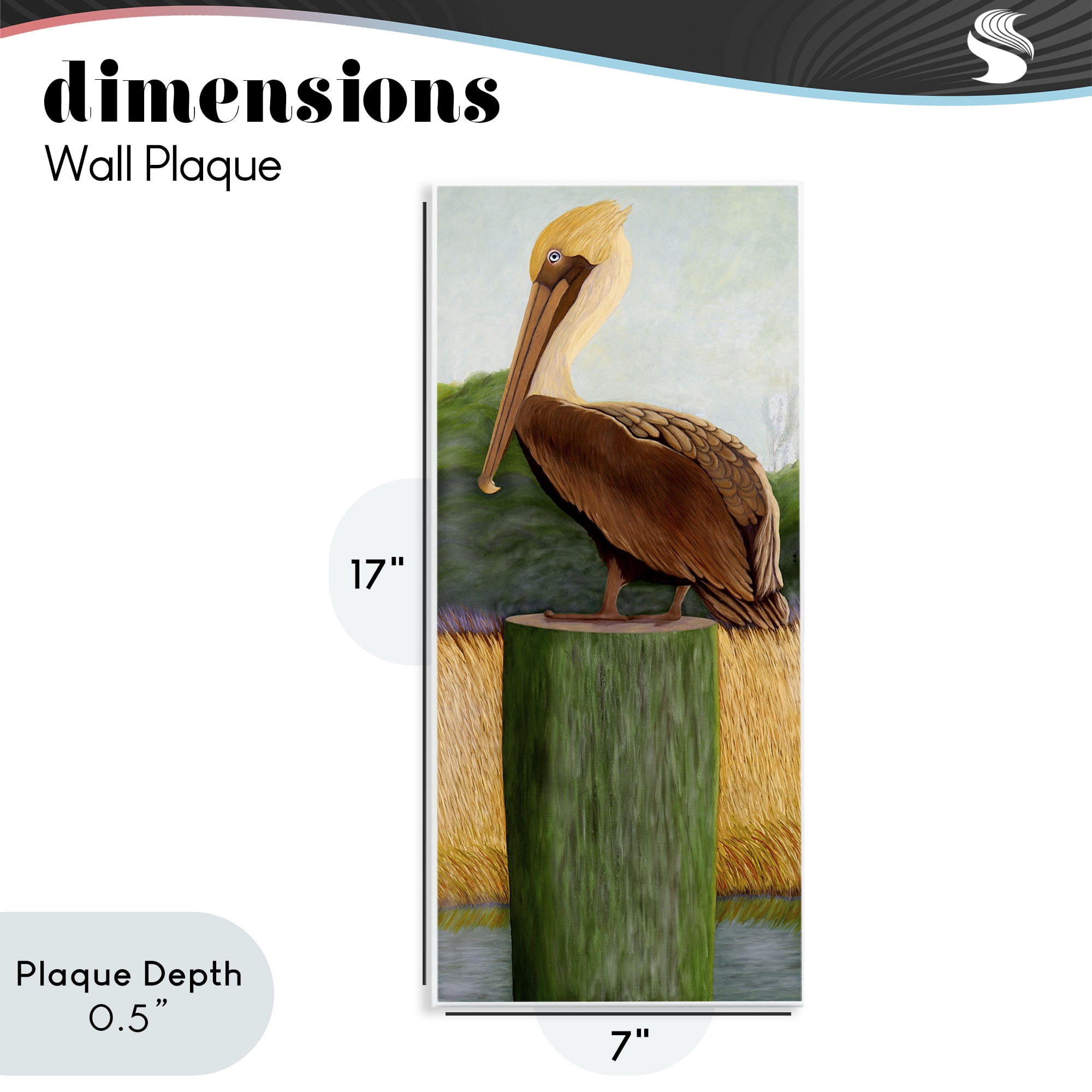 Stupell Industries Blue Eyed Pelican Wall Plaque Art, design by Barbara Fallenbaum