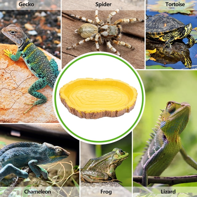 unbranded Para Y Comida De Resina Para Reptiles Con Y