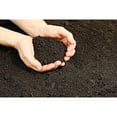 Vermont Compost Company Fort Vee Organic Potting Soil Mix High