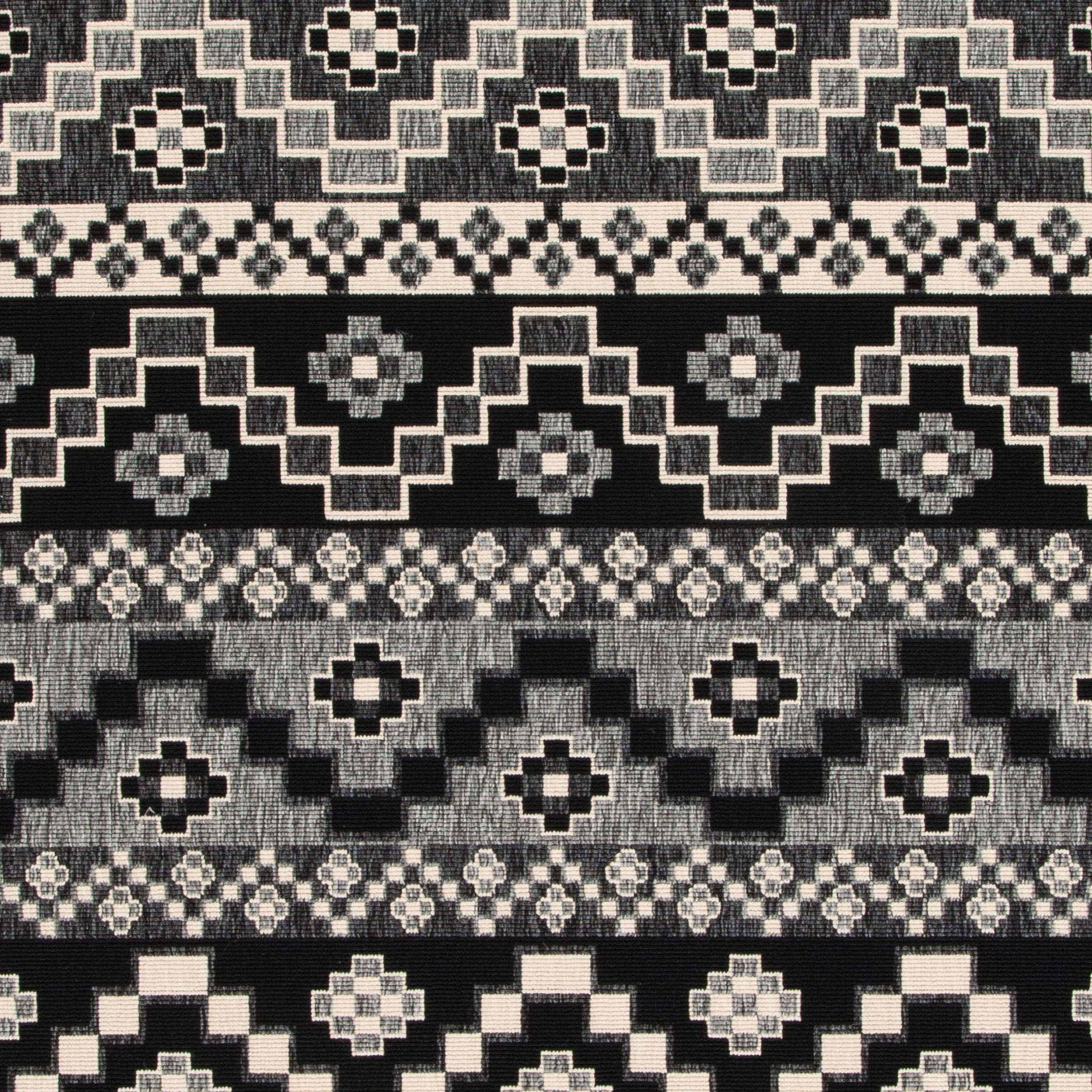 SAFAVIEH Veranda Luwig Southwestern Indoor/Outdoor Area Rug, 8' x 11', Black/Beige