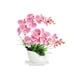 thumbnail image 1 of Orquídea artificial Moyic en maceta impermeable rosa, 1 of 6