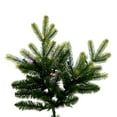 thumbnail image 2 of Vickerman 7.5' x 58" Jersey Fraser Fir Artificial Christmas Tree, LED Color Changing Mini Lights, 2 of 6