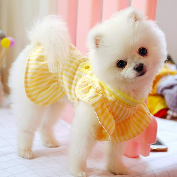 Pomeranian clothes cheap size