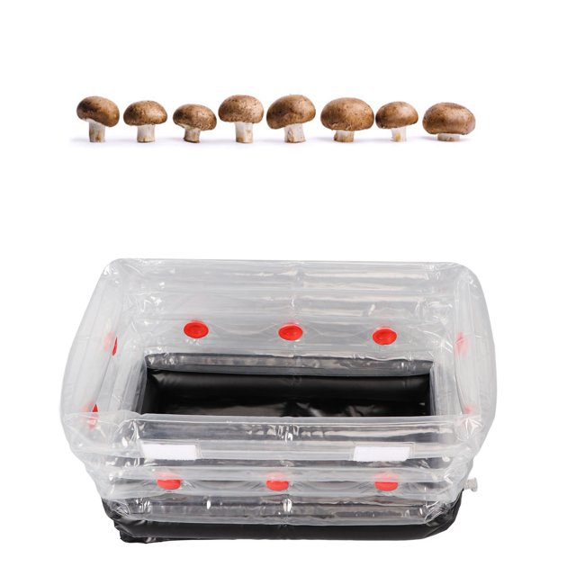 Inflatable Mushroom Grow Kit, Durable Square Small Mushroom Grow Kit PVC for Home