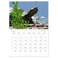 thumbnail image 5 of The life of the turtle (Monthly Wall Calendar 2026 11.7 x 16.5 (open)), CALVENDO 14 Month Calendar, 5 of 9