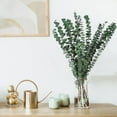 thumbnail image 6 of 40 Pack Natural Dried Eucalyptus Bundle,17 inch Preserved Eucalyptus for Shower, Hanging Eucalyptus Stems for Home, Wedding DIY Decor,Green, 6 of 8