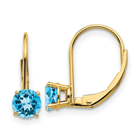 Primal Gold 14 Karat Yellow Gold 5mm Blue Topaz Leverback Earrings