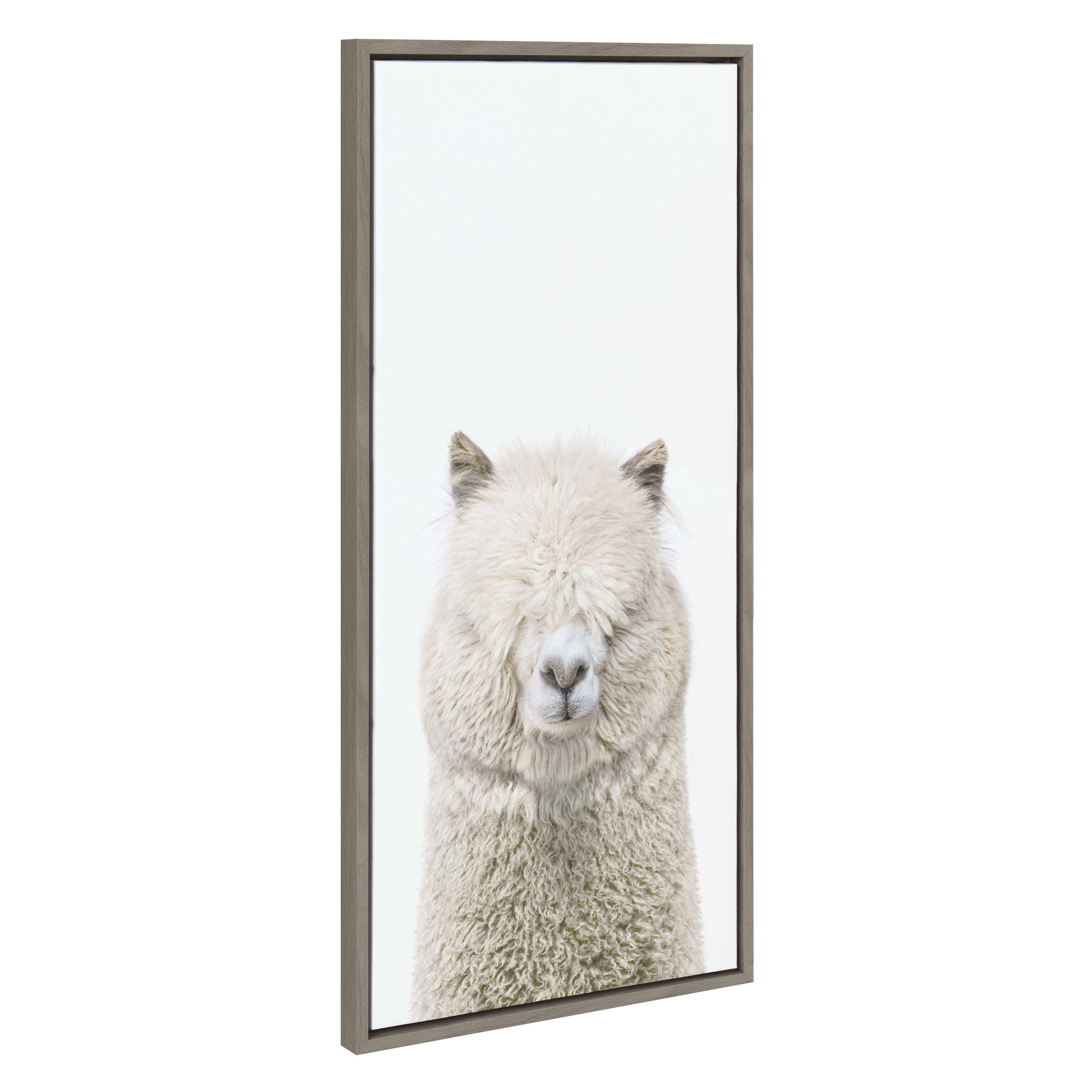 Sylvie Alpaca Fluff 18 in x 40 in Framed Photography Canvas Art Print, by Kate and Laurel