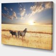 thumbnail image 2 of Zebras in Beautiful Grassland At Sunset - Extra Large African Canvas Art Print, 2 of 3