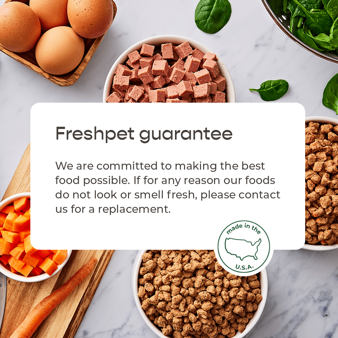 Freshpet Fresh Cat Food, Tender Chicken Recipe, Tender Bites Freshly Roasted Meal 1 lb.