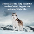 thumbnail image 5 of Blue Buffalo Wilderness Adult Wet Dog Food Duck & Chicken Grill, 12.5-oz. Can, 5 of 12