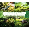 thumbnail image 3 of Terrarium Moss LUCKY PLANT Live Moss para reptiles, 50 cm², 3 of 9