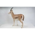 thumbnail image 3 of Hi-Line Gift Gazelle Statue 34.00 inch Garden Statue, 3 of 5