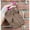 Brown, variant on Needle and Thread Kit Women'S Portable Nylon Keychain Wallet Army Green