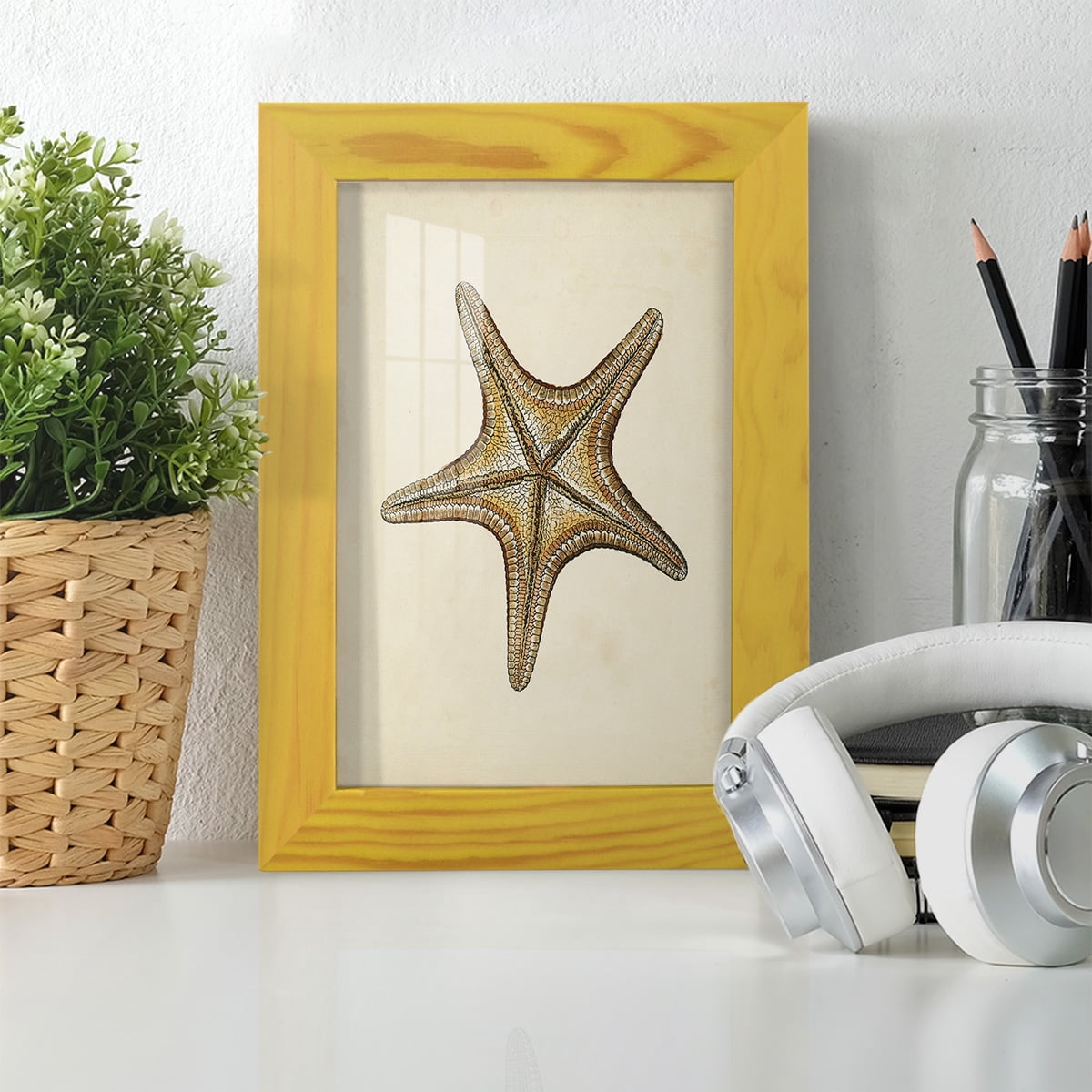 Sealife Collection IV - Framed Print w/glass - Sunflower Yellow