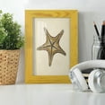 thumbnail image 6 of Sealife Collection IV - Framed Print w/glass - Sunflower Yellow, 6 of 8