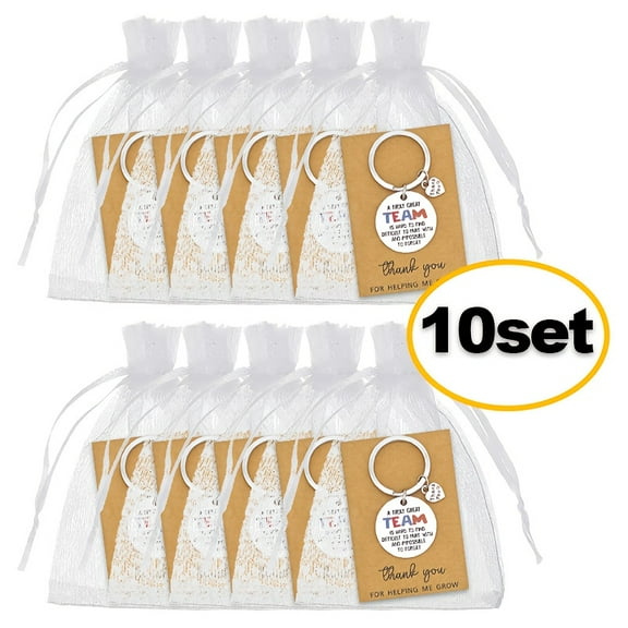 10 Set Team Appreciation Keychain Gift Set, Stainless Steel Inspirational Keyrings with Thank You Cards & Organza Bags - Employee Recognition, Corporate Gifts for Team Building, Work Celebrations