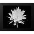 thumbnail image 2 of Straatsma, Leah 14x12 Black Modern Framed Museum Art Print Titled - Modern BW Floral 2, 2 of 5