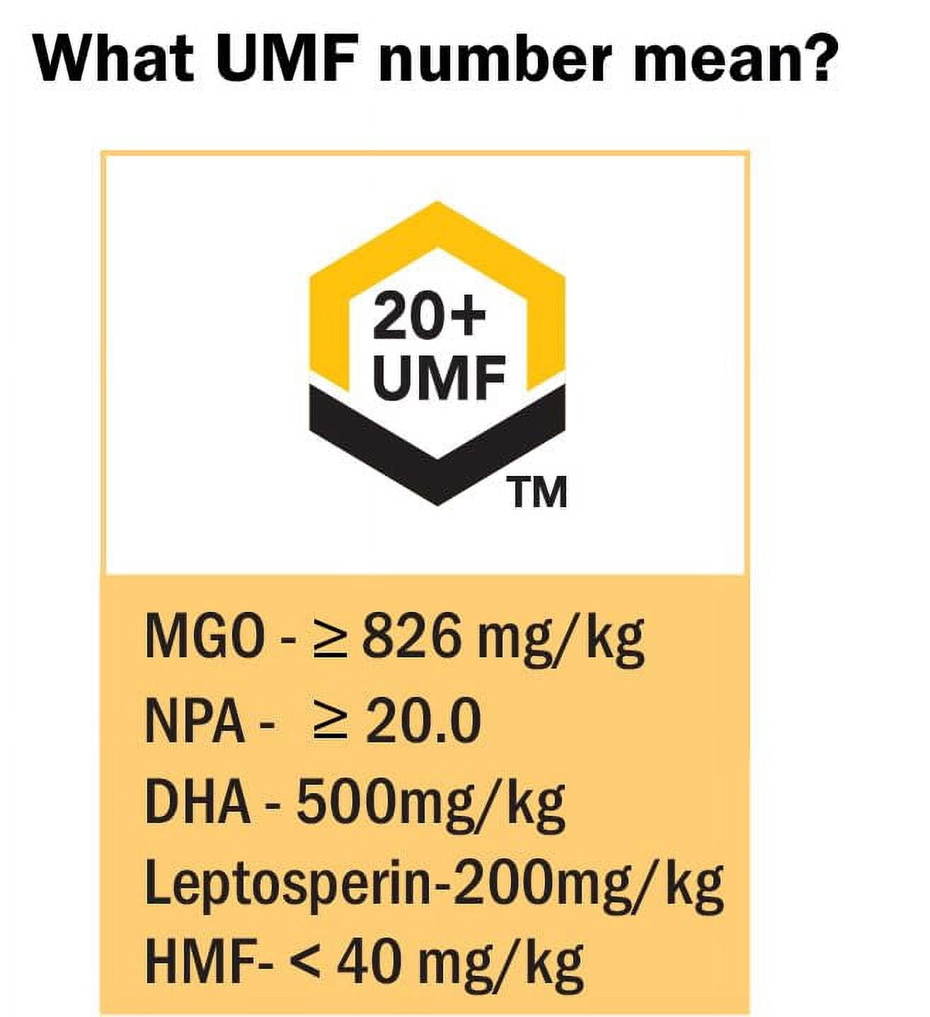 Manuka Honey UMF 20+ (MGO 826+) Pure New Zealand Honey 1.1 lb