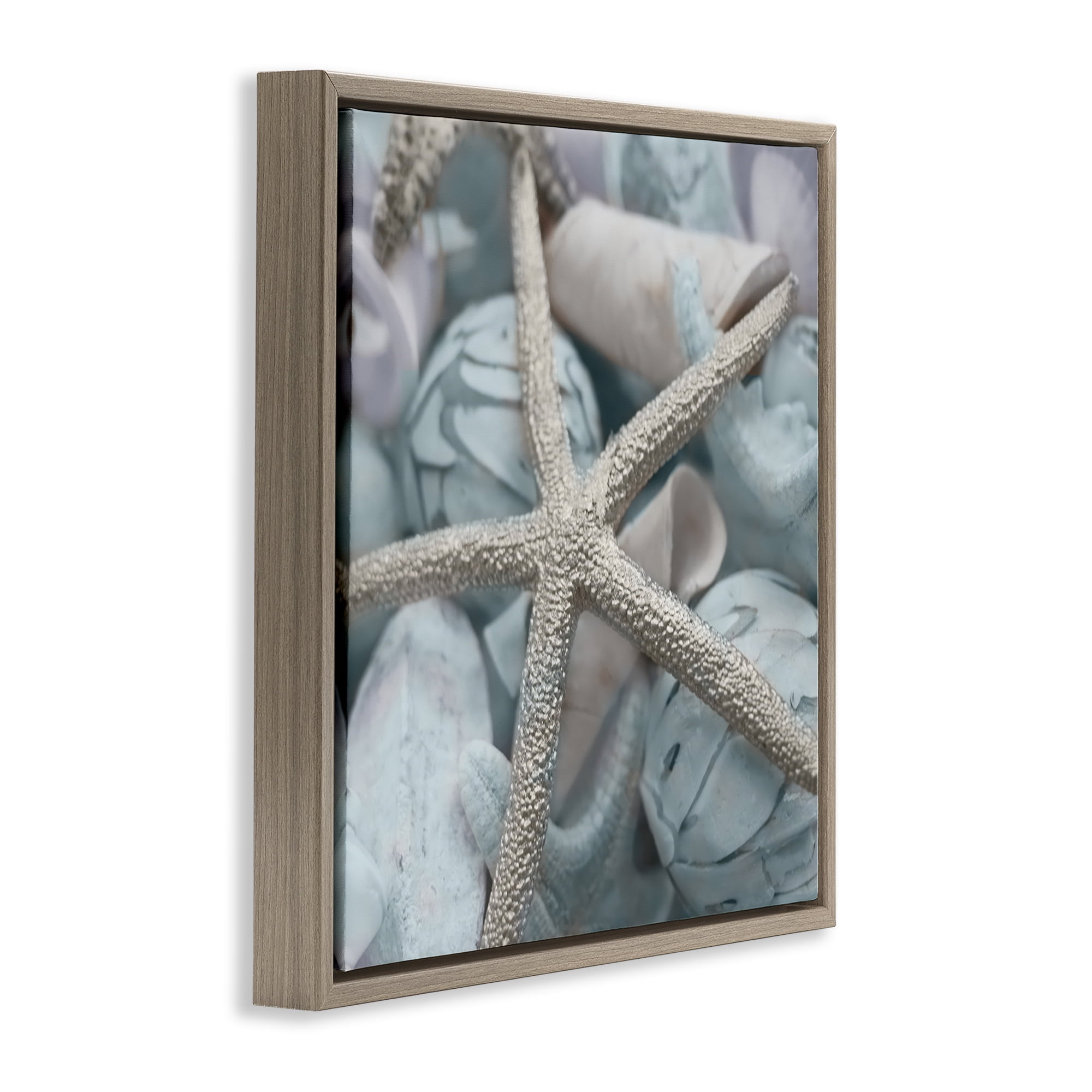 Stupell Industries Starfish & Various Shells Nautical & Beach Photography Brown Floater Framed Canvas Art Print Wall Art, 18 x 18