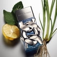 thumbnail image 2 of Perfume Michael Kors Pour Homme Eau de Parfum en aerosol para hombre, 2 of 5