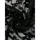thumbnail image 5 of Inspire Chic Cárdigan Corto de Encaje para Mujeres, Floral, Abierto al Frente, de Manga Larga, Negro, Talla XS, 5 of 6