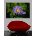 thumbnail image 2 of Clark Daisy Wall Decal, 2 of 2