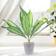 thumbnail image 3 of KAKOWELY Succulents Fake Plants Plastic Leaves Home Decor 2Pcs 18.5X13.8X9.8In, 3 of 3