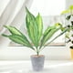 thumbnail image 3 of 2 PCS Planta de serpientes artificiales Falas Sansevieria Plantas en macetas artificiales para interiores al aire libre, 3 of 5