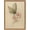 Butterfly Pink Floral, variant on Framed Vintage Fall Pumpkin Canvas Wall Art, Rustic Farmhouse Autumn Paintings Wall Decor, Thanksgiving Pumpkins Pictures Prints Aesthetic Home Decor for Living Room Kitchen Office 16×24 inch