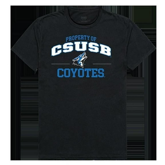 W Republic Apparel 517-207-E27-03 California State University San Bernardino Property College Tee Shirt, Black - Large