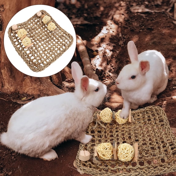 PBPBOX 1Pc Wood Scratching Board for Rabbit Owners Rabbit Grinding 11.8x7.9in