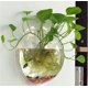 thumbnail image 2 of Xelparuc 1 galón acrílico transparente colgante montado en la pared pecera acuaponia tanque acuario planta peces burbujas Ormromra WHFLD265, 2 of 6